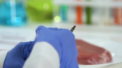 Scientist Injects Raw Meat with Syringe in Lab