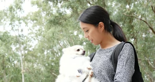 Pet owner play with pomeranian dog