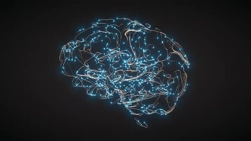 Visualización de la actividad cerebral con partículas y trazadores
