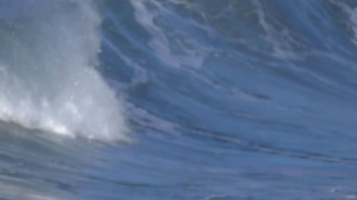 Waves break in surf line.