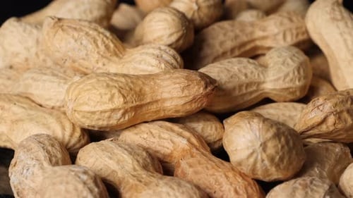 Close Up of Peanuts in Shells Rotating