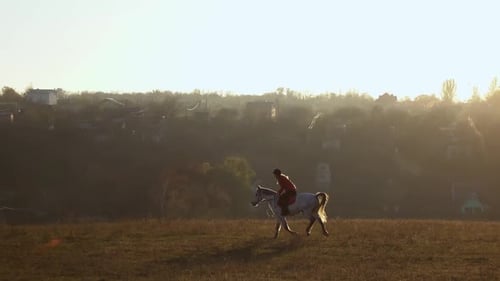 Horsewoman Riding a Horse Galloping Across the Field