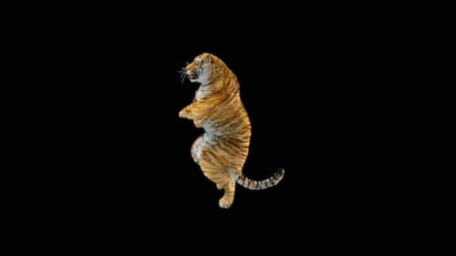 66 Tiger: Tanzen HD