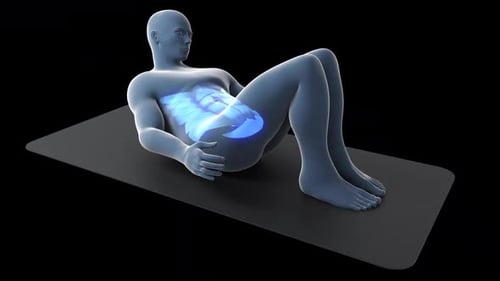 3D Human Abdominal Crunch Exercise with Muscle Highlight Animation
