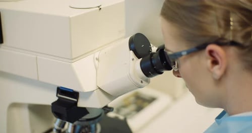 Scientist Examining Bacteria Under Microscope at Laboratory