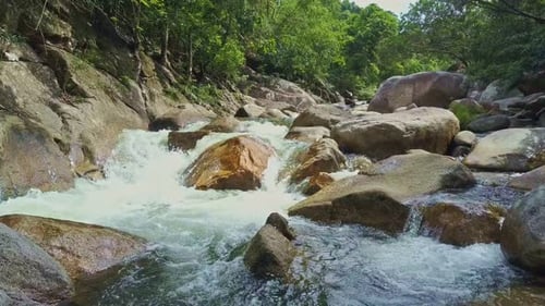 La cámara sobrevuela un poderoso río de montaña entre bosques tropicales
