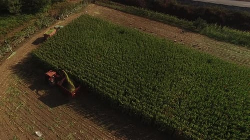Aerial View of Tractor Harvesting Rural Crop Field