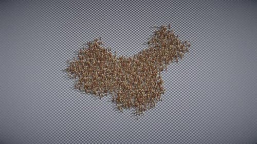 3D Chess Pieces Forming Country Map Animation