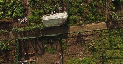Vegetable Farm
