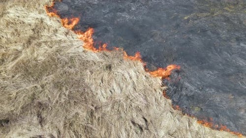 Aerial View of Grassland Field Burning with Red Fire During Dry Season