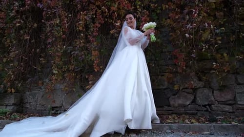 Beautiful Bride Standing Near the Trees in the Autumn Forest