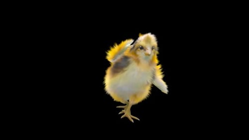 Animated Yellow Chick Dancing Playful Character