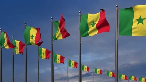 The Senegal Flags Waving In The Wind 4K