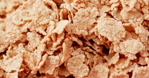Close Up View of Crunchy Tan Corn Flakes