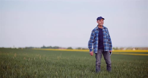 Agronomist Examining Crops And Using Digital Tablet On Field