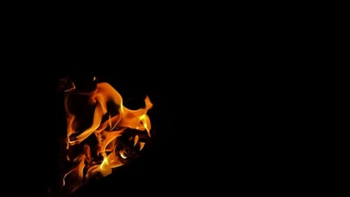 Vibrant Flames Dancing Against a Black Background