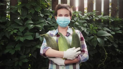 Gardener Holding Zucchini in Rural Garden