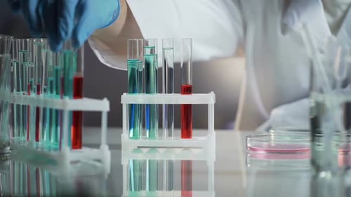 Laboratory Worker Taking Away Already Tested Flask With Substance, Work Process