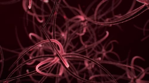 Neuron-Netzwerk