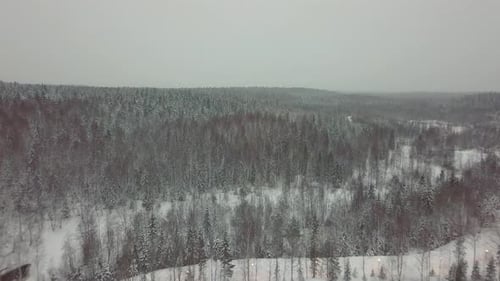 Aerial View of Snowy Forest