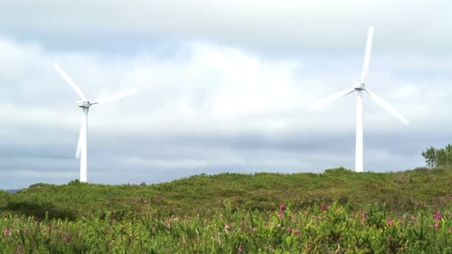 Ecology Power, Wind Plant