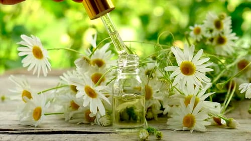 Extrato e tintura de camomila em uma pequena garrafa