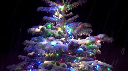 Snowy Christmas Tree at Night
