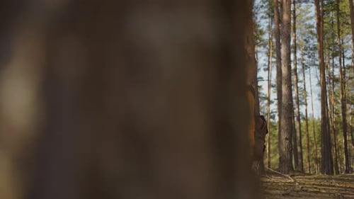 Afroamerican Couple Hiking Trekking in Forest with Backpacks Enjoying Their Adventure Tourism