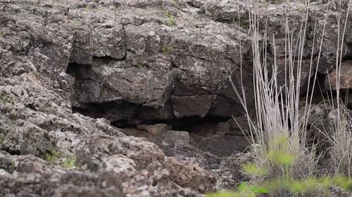 Basalt Rock Cave