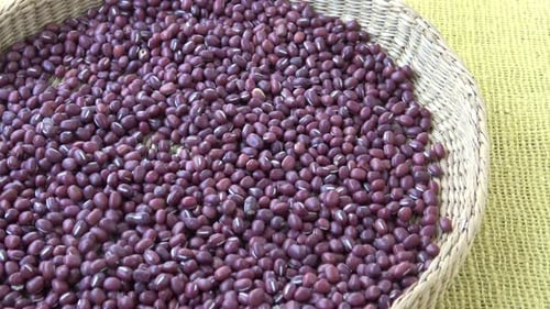 Frische Adzuki-Bohnen. Rote Bohnen im Korb (Vigna angularis)