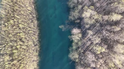 Im Frühling über den Fluss fliegen