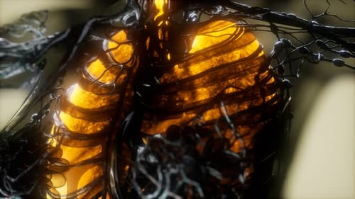 Abstract Medical Animation of Human Torso with Glowing Ribcage