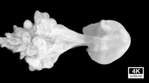 Fluid Smoke Element Reveal Transition