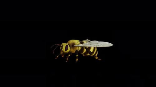 Parte delantera de abeja
