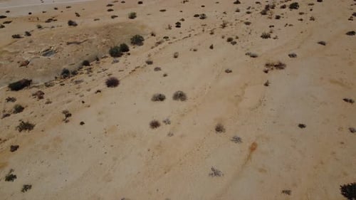 Lots of small desert plants and huge mountains in Erongo region of Namibia