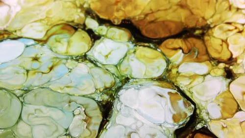 Abstract Paint Colours Diffusion