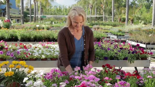 Mature woman choosing flowers in garden centre