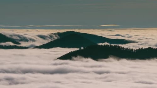 Panoramic View Misty Mountains Forest above Foggy Clouds in Sunny Nature Landscape