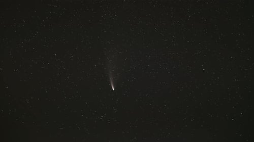 Belarus. 18 July 2020. Comet Neowise C2020F3 In Night Starry Sky. Natural Night Sky Background