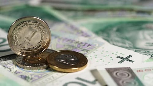 Polish Money Banknotes Coins