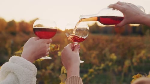 Vor dem Hintergrund des Weinbergs wird Rotwein in Gläser gegossen