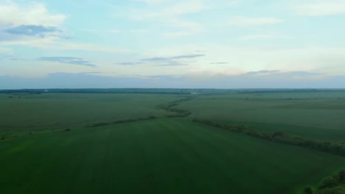 Aerial View of Green Field