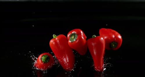 Red Sweet Peppers, capsicum annuum, Vegetable falling on Water against Black Background
