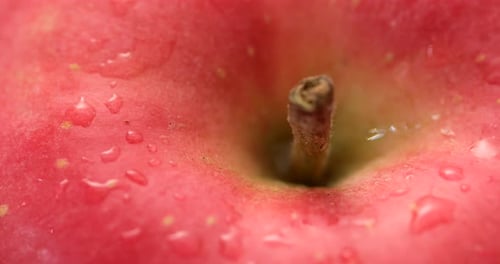 Roter Apfel