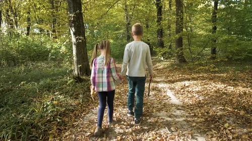 Two Children Walking Holding Hands in Autumn Forest with Bright Orange and Yellow Leaves