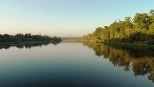The Green Forest Is Reflected in the Water, the Beauty of Nature, Combination of Trees