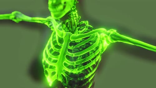 Medical Scan of Glowing Green Human Skeleton