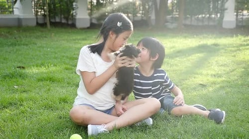 Happy Asian Children Playing With Siberian Husky Dog In The Garden
