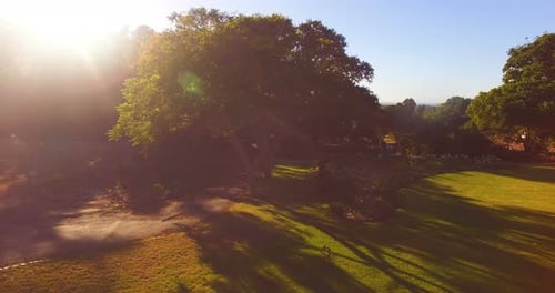 Aerial view of beautiful park