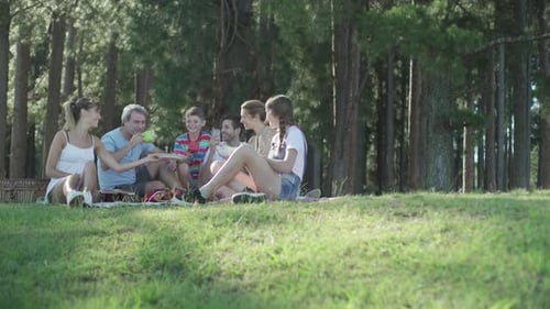 Family Picnic in Grassy Park on Sunny Day